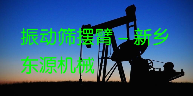 振動篩擺臂 - 新鄉東源機械
