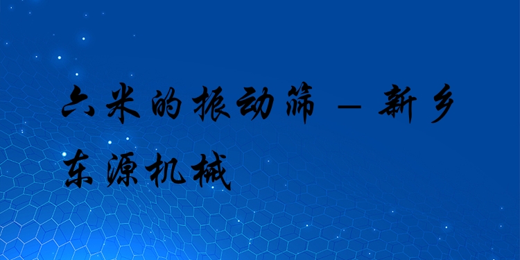 六米的振動篩 - 新鄉東源機械